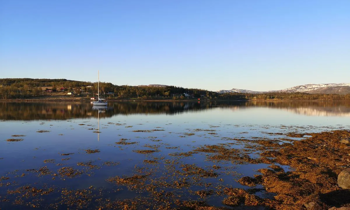 Pollen - Indre Årnes: {"base": "no", "no": "Ankringsplassen, sett fra holme.", "se": "Ankringsplatsen, sedd fr\u00e5n holme.", "en": "The anchorage, seen from the islet.", "da": "Ankerpladsen, set fra holm."}