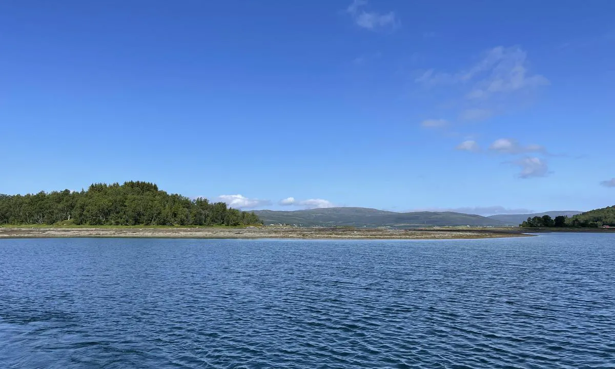 Pollen - Indre Årnes