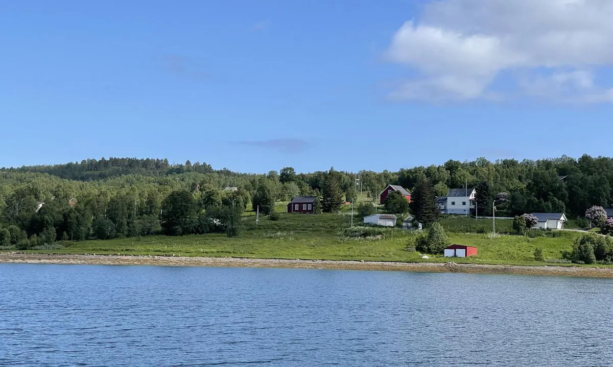 Pollen - Indre Årnes