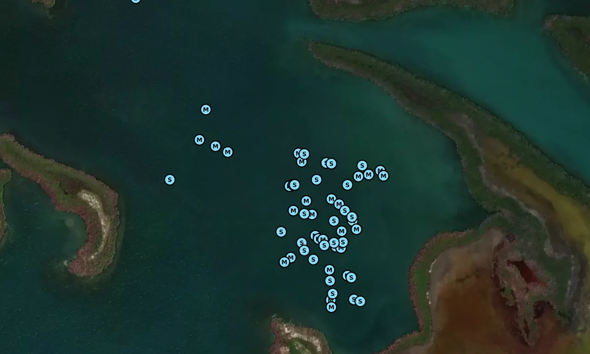 Satelite image of Ponce Anchorage Bahia Barco
