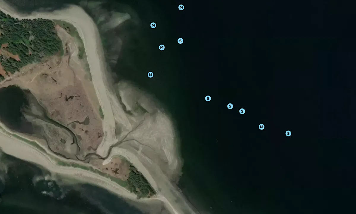 Satelite image of Pond Island
