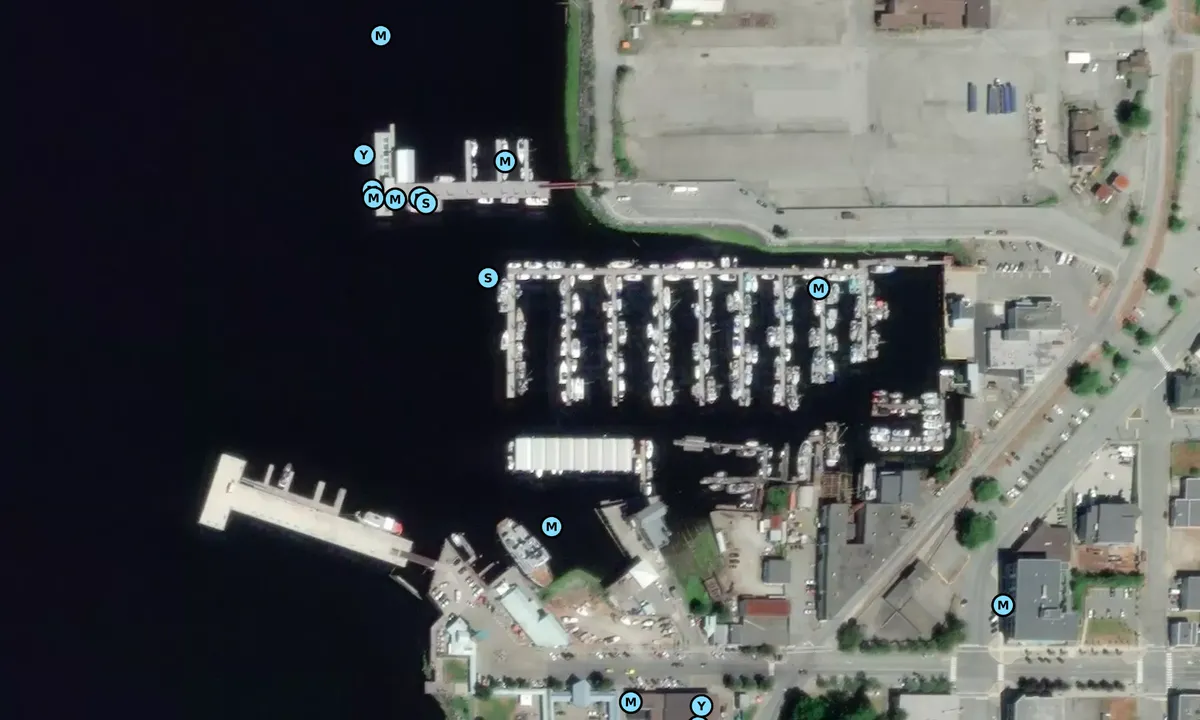 Satelite image of Port Aberni BC