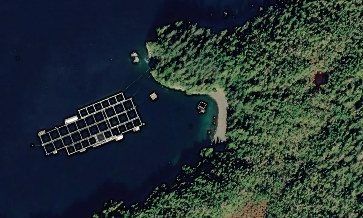 Satelite image of Port Armstrong