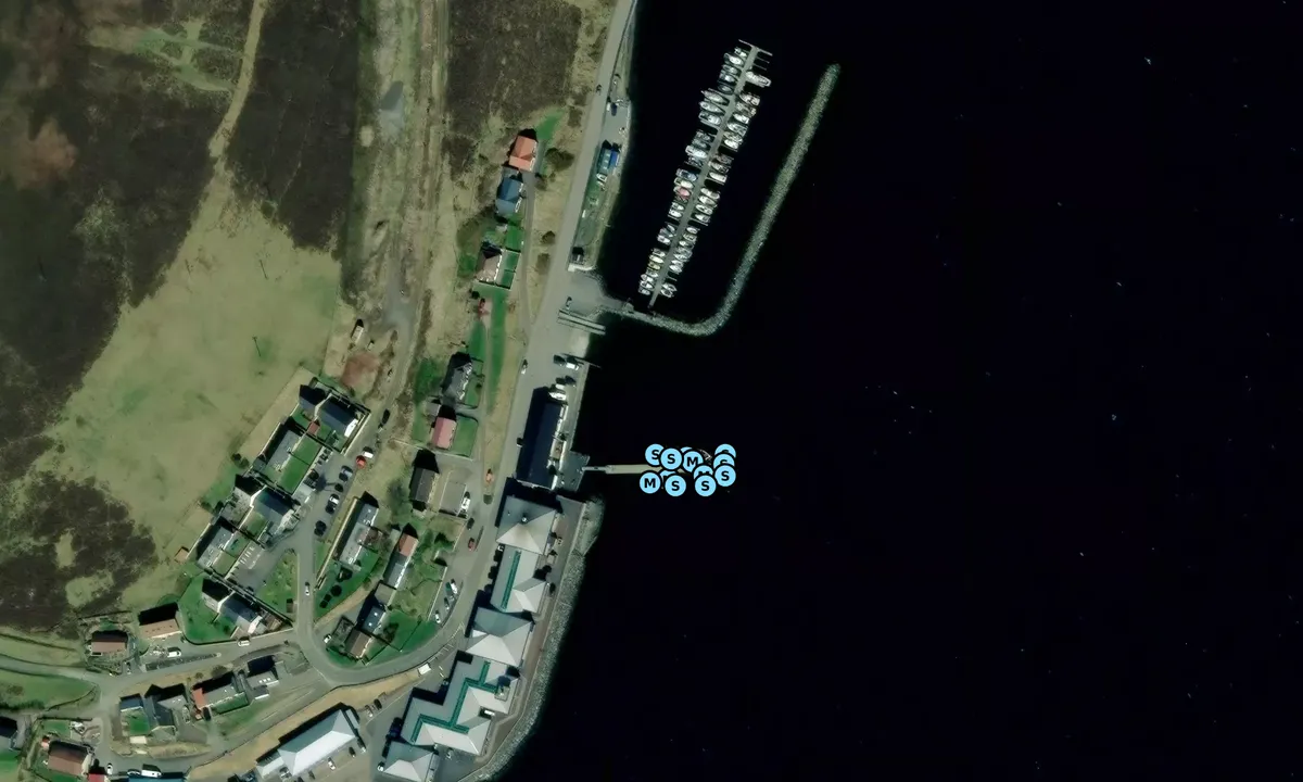 Satelite image of Port Arthur Marina