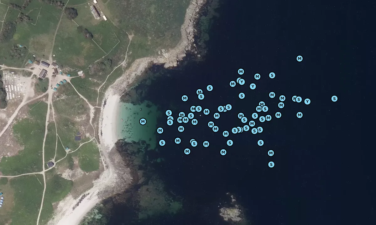 Satelite image of Port aux anglais