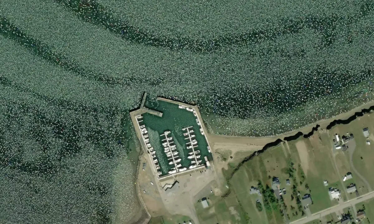 Satelite image of Port de plaisance de Bas-Caraquet