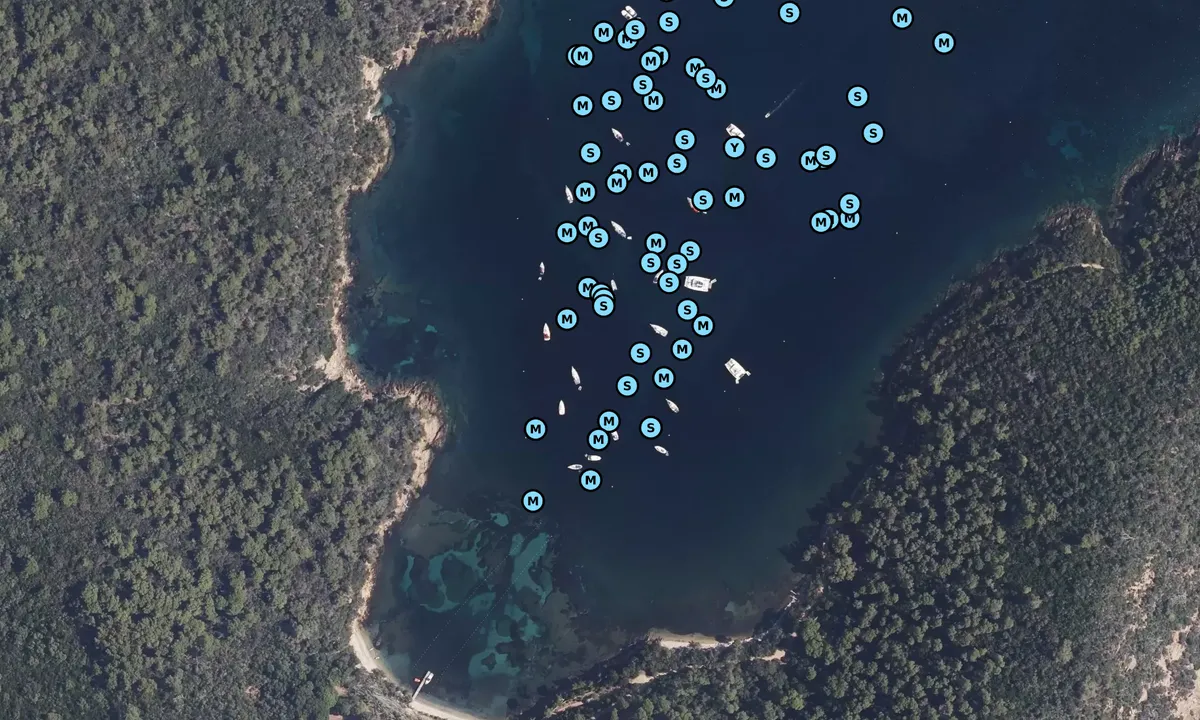 Satelite image of Port Man