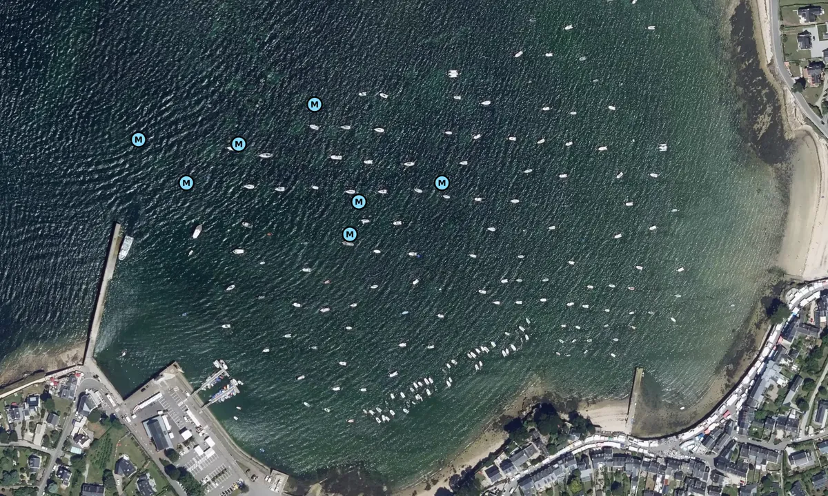 Satelite image of Port Navalo