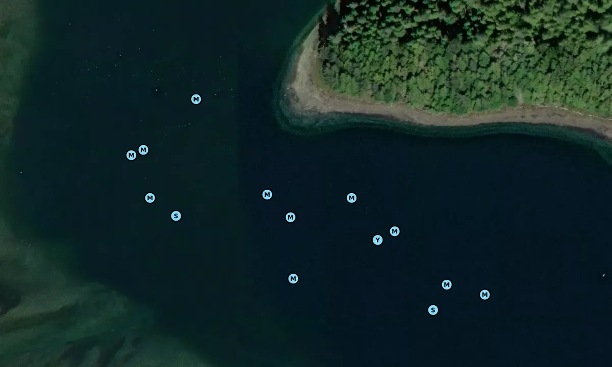 Satelite image of Port Refugio