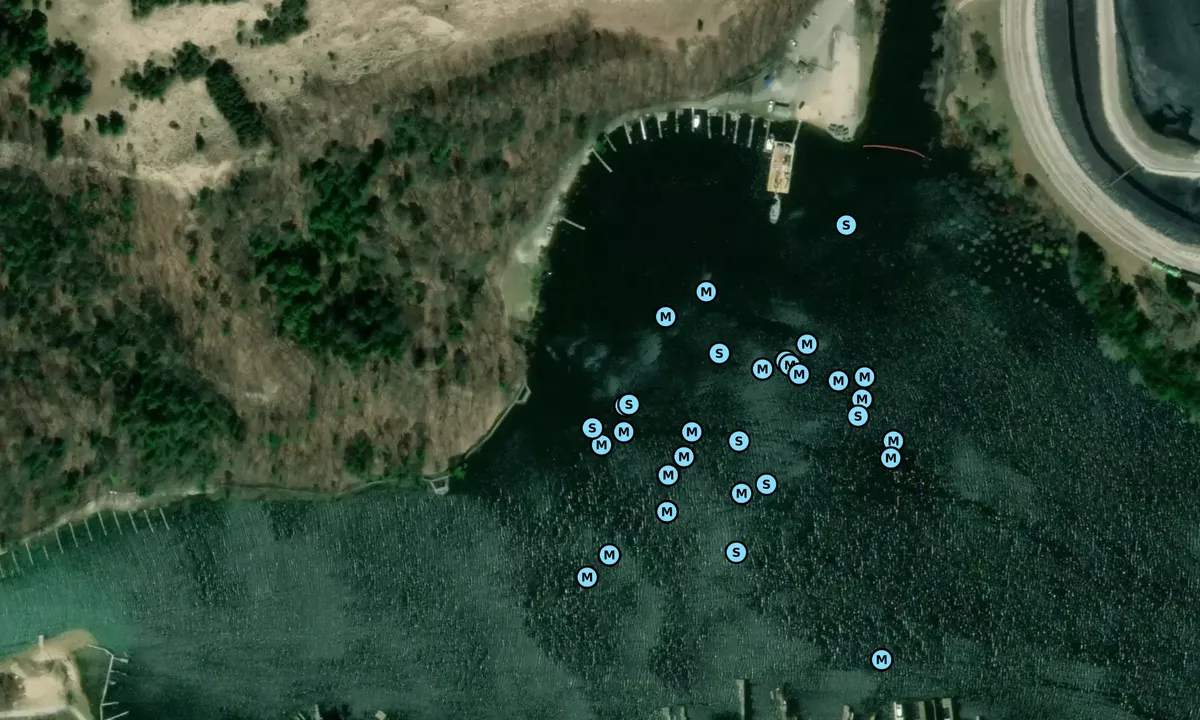 Satelite image of Port Sheldon Lake