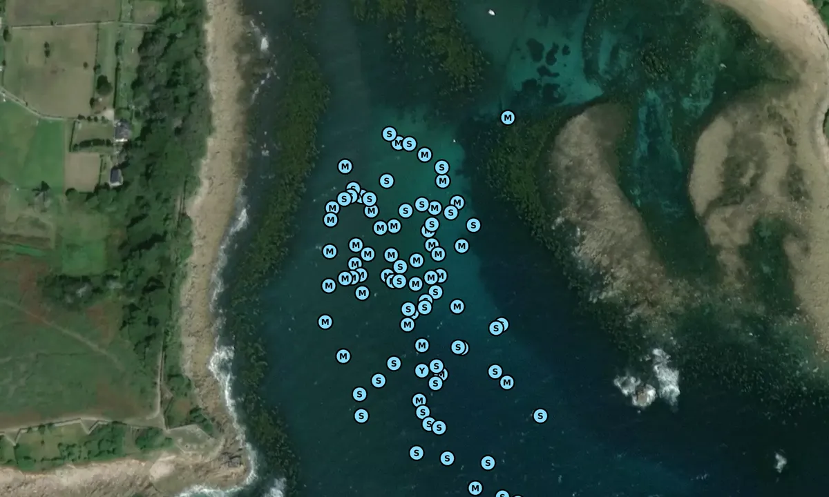 Satelite image of Porthcressa