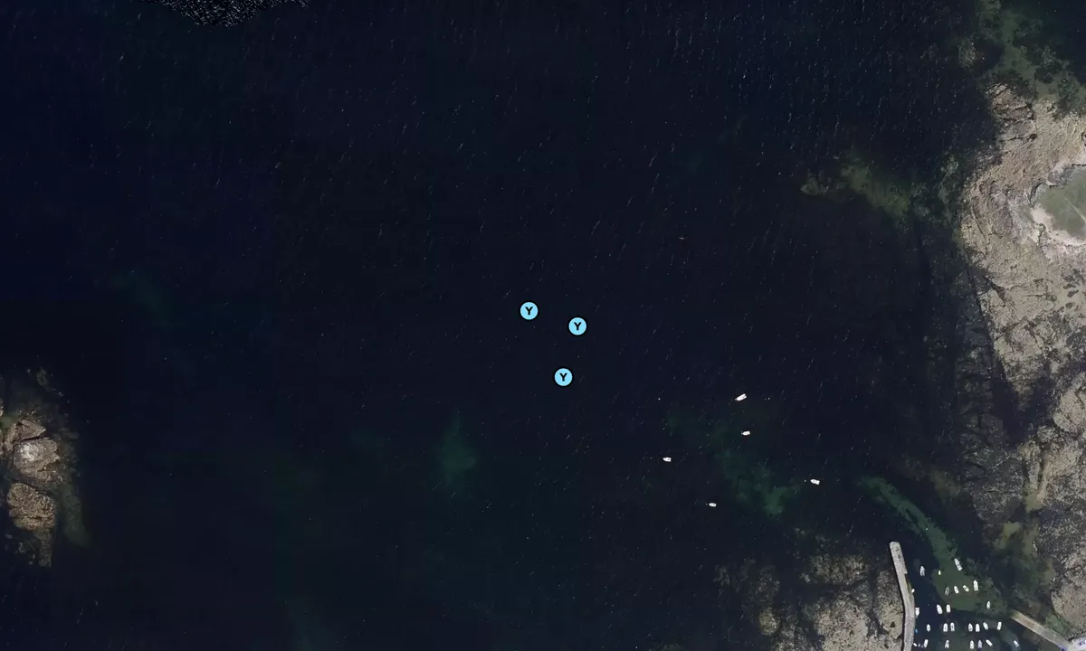 Satelite image of Portivy