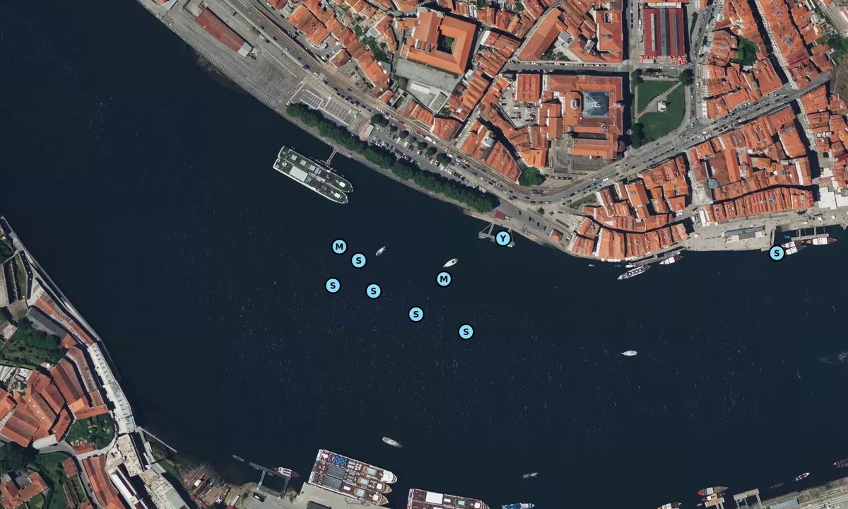 Satelite image of Porto City Center