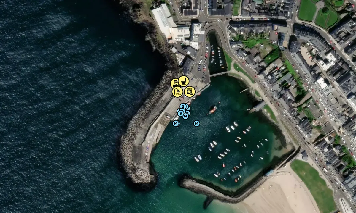 Satelite image of Portrush Harbour