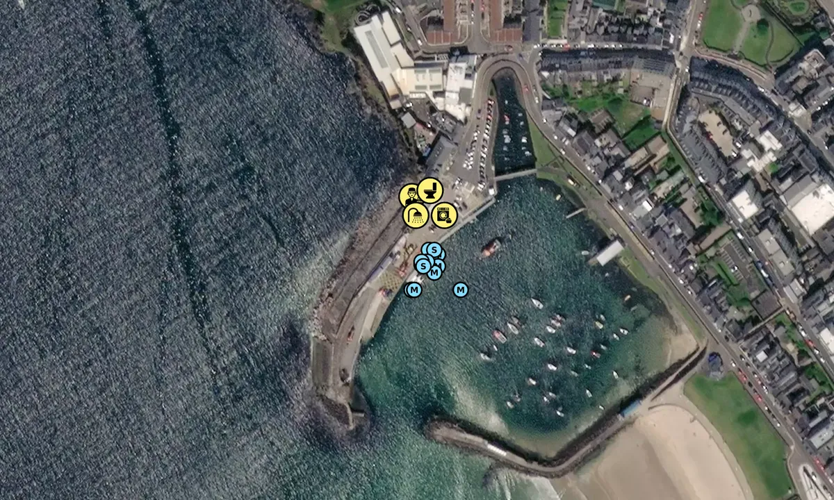 Satelite image of Portrush Harbour
