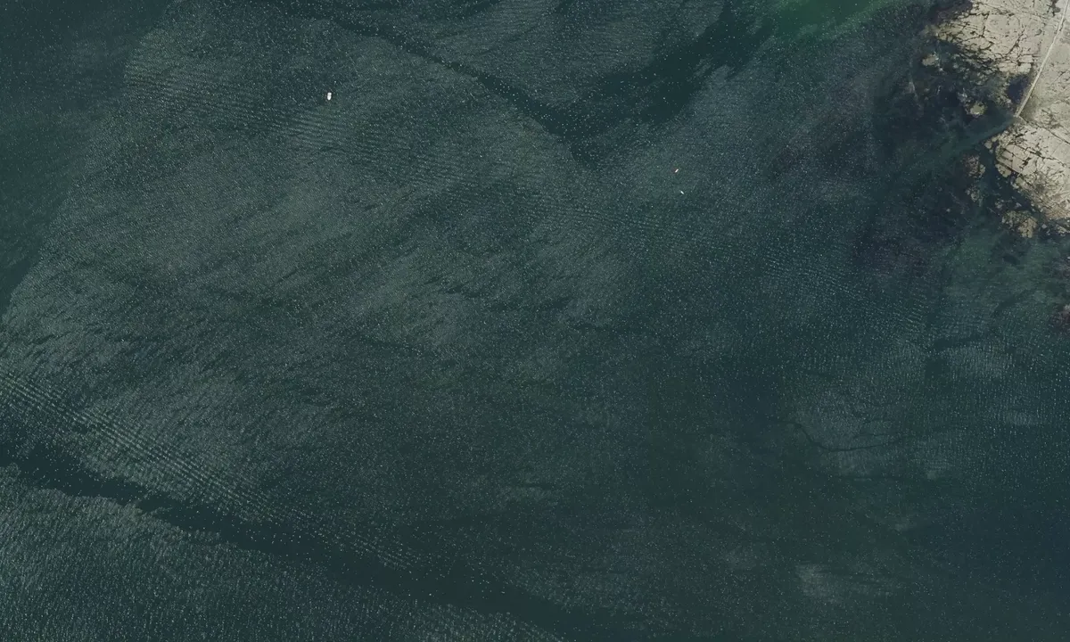 Flyfoto av Préfailles