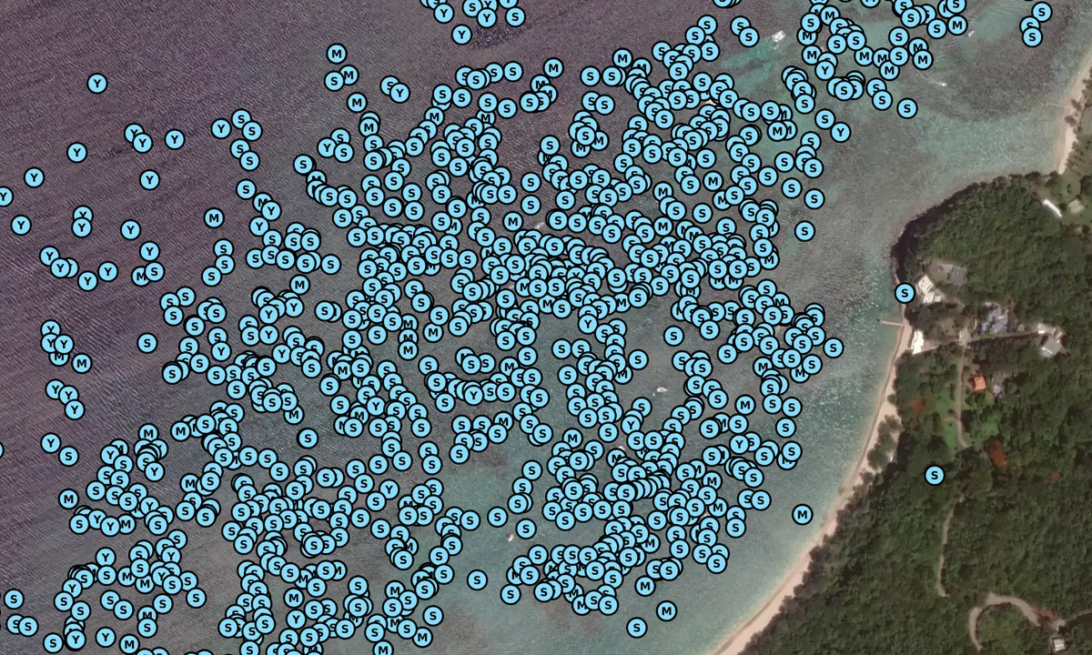 Satelite image of Princess Margaret Beach