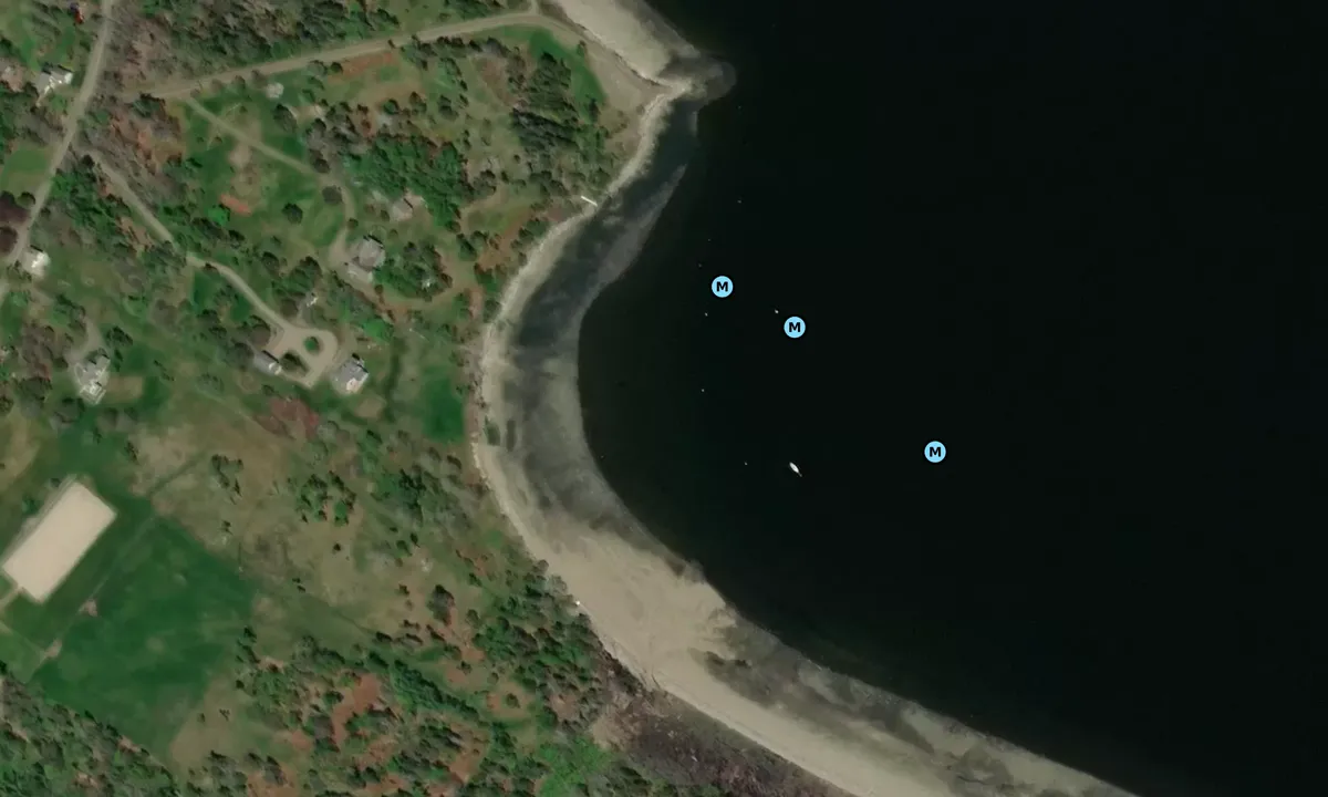 Satelite image of Priscilla's Cove