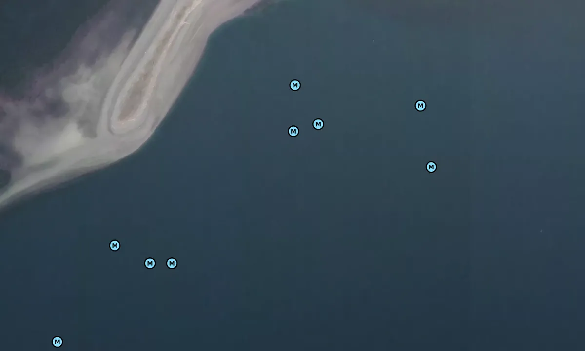 Satelite image of Protection Island
