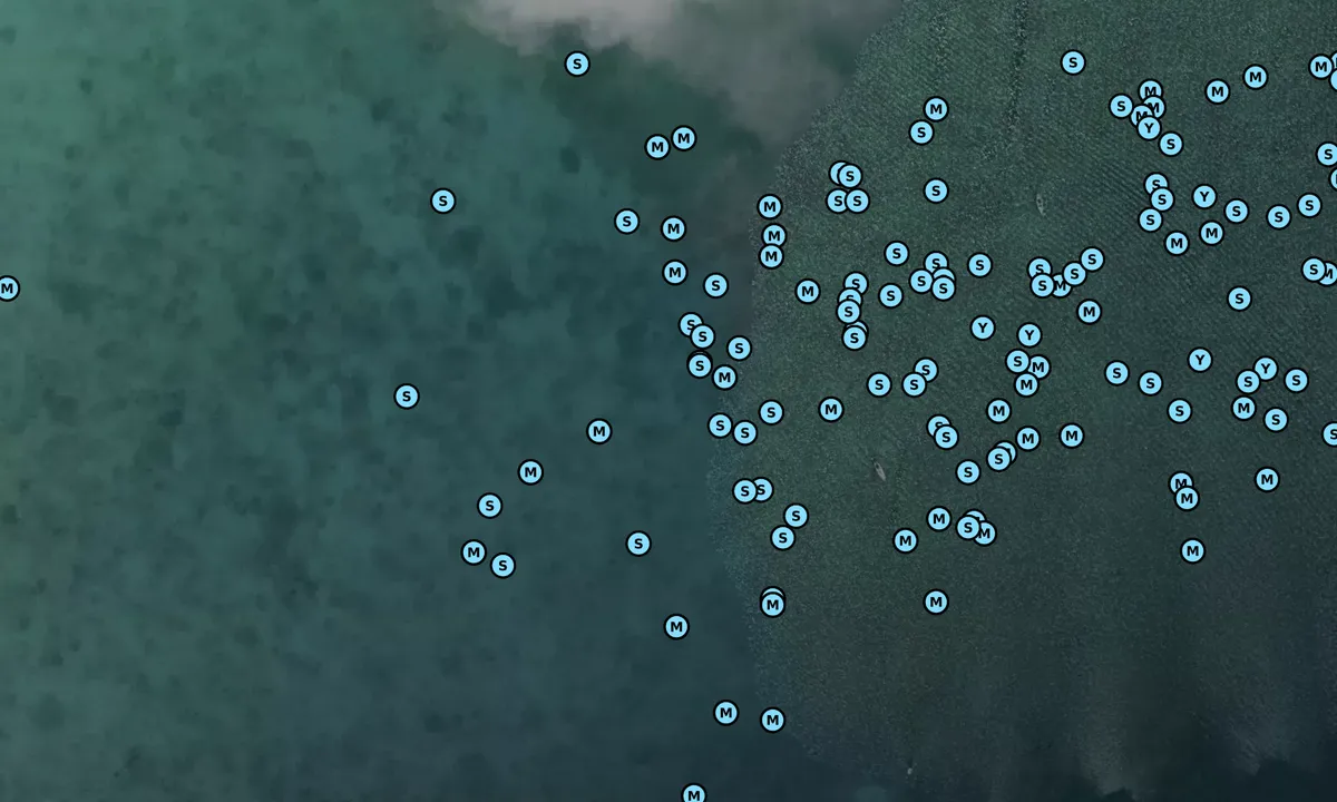 Satelite image of Pt Lowe