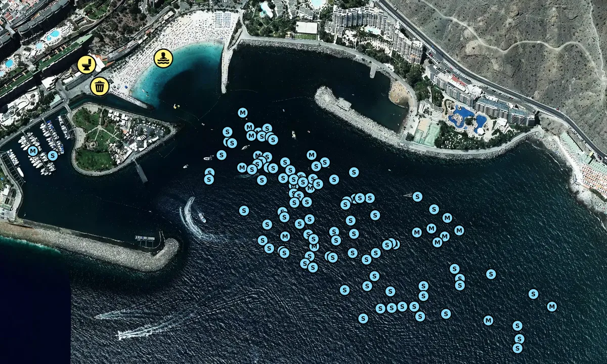 Satelite image of Puerto Anfi del mar