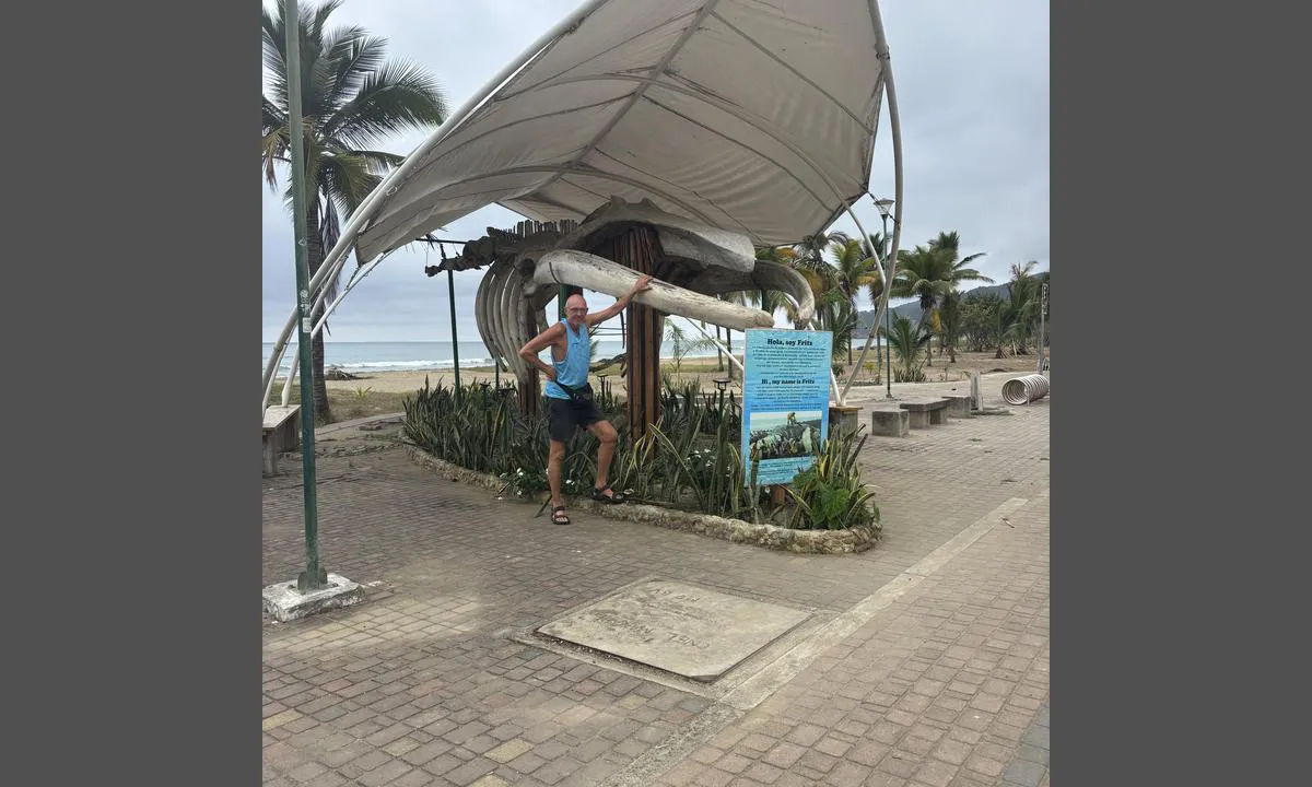 Puerto Lopez: {"base": "no", "no": "En hval som ble skyldt p\u00e5 land for ca 20 \u00e5r siden. Som et monument for denne landsbyen har stor tilstr\u00f8mning i hval sesongen som er tja juli ut oktober", "se": "En val som spolades upp p\u00e5 land f\u00f6r ca 20 \u00e5r sedan. Som ett monument f\u00f6r denna by har stor tillstr\u00f6mning under vals\u00e4songen som \u00e4r fr\u00e5n juli till oktober.", "en": "A whale that was washed ashore about 20 years ago. As a monument for this village, it has great influx during the whale season which is approximately from July to October.", "da": "En hval, som blev skyllet op p\u00e5 land for ca. 20 \u00e5r siden. Som et monument for denne landsby har stor tilstr\u00f8mning i hval s\u00e6sonen, som er ca. juli til oktober.", "fr": "Une baleine qui a \u00e9t\u00e9 \u00e9chou\u00e9e il y a environ 20 ans. Comme monument pour ce village, beaucoup de gens affluent pendant la saison des baleines, qui dure de juillet \u00e0 octobre.", "de": "Ein Wal, der vor etwa 20 Jahren an Land gesp\u00fclt wurde. Als Denkmal f\u00fcr dieses Dorf hat es w\u00e4hrend der Walsaison, die tja von Juli bis Oktober dauert, gro\u00dfen Zulauf.", "es": "Una ballena que var\u00f3 hace aproximadamente 20 a\u00f1os. Como un monumento para este pueblo, tiene una gran afluencia durante la temporada de ballenas, que es desde julio hasta octubre.", "it": "Una balena che si \u00e8 arenata circa 20 anni fa. Come monumento per questo villaggio ha una grande affluenza nella stagione delle balene che va, beh, da luglio a ottobre.", "pt": "Uma baleia que foi encalhada h\u00e1 cerca de 20 anos. Como um monumento para esta vila, tem um grande fluxo de visitantes na temporada de baleias, que vai de julho at\u00e9 outubro.", "nl": "Een walvis die ongeveer 20 jaar geleden aan land werd gespoeld. Als een monument voor dit dorp heeft het een grote toeloop tijdens het walvissenseizoen, dat van juli tot en met oktober loopt.", "pl": "Wieloryb, kt\u00f3ry zosta\u0142 wyrzucony na brzeg oko\u0142o 20 lat temu. Jako pomnik dla tej wioski, kt\u00f3ra ma du\u017cy nap\u0142yw turyst\u00f3w w sezonie wieloryb\u00f3w, czyli od lipca do ko\u0144ca pa\u017adziernika.", "uk": "\u041a\u0438\u0442, \u044f\u043a\u043e\u0433\u043e \u0432\u0438\u043a\u0438\u043d\u0443\u043b\u043e \u043d\u0430 \u0431\u0435\u0440\u0435\u0433 \u043f\u0440\u0438\u0431\u043b\u0438\u0437\u043d\u043e 20 \u0440\u043e\u043a\u0456\u0432 \u0442\u043e\u043c\u0443. \u042f\u043a \u043f\u0430\u043c'\u044f\u0442\u043d\u0438\u043a \u0434\u043b\u044f \u0446\u044c\u043e\u0433\u043e \u0441\u0435\u043b\u0430 \u043f\u0456\u0434 \u0447\u0430\u0441 \u0441\u0435\u0437\u043e\u043d\u0443 \u043a\u0438\u0442\u0456\u0432, \u044f\u043a\u0438\u0439 \u0442\u0440\u0438\u0432\u0430\u0454 \u0437 \u043b\u0438\u043f\u043d\u044f \u0434\u043e \u043a\u0456\u043d\u0446\u044f \u0436\u043e\u0432\u0442\u043d\u044f, \u0441\u044e\u0434\u0438 \u043f\u0440\u0438\u0457\u0437\u0434\u0438\u0442\u044c \u0431\u0430\u0433\u0430\u0442\u043e \u043b\u044e\u0434\u0435\u0439.", "ro": "Un balen\u0103 care a fost e\u0219uat\u0103 pe \u021b\u0103rm \u00een urm\u0103 cu aproximativ 20 de ani. Ca monument pentru acest sat, atrage un aflux mare de vizitatori \u00een sezonul balenelor, care dureaz\u0103 de la mijlocul lui iulie p\u00e2n\u0103 la sf\u00e2r\u0219itul lui octombrie.", "tr": "Yakla\u015f\u0131k 20 y\u0131l \u00f6nce karaya vurmu\u015f bir balina. Bu k\u00f6y i\u00e7in bir an\u0131t olarak, balina mevsiminde b\u00fcy\u00fck bir ak\u0131n vard\u0131r, bu da temmuzdan ekim ay\u0131n\u0131n sonuna kadar devam eder.", "el": "\u0388\u03bd\u03b1\u03c2 \u03c6\u03ac\u03bb\u03b1\u03b9\u03bd\u03b1\u03c2 \u03c0\u03bf\u03c5 \u03b2\u03b3\u03ae\u03ba\u03b5 \u03c3\u03c4\u03b7 \u03c3\u03c4\u03b5\u03c1\u03b9\u03ac \u03c0\u03c1\u03b9\u03bd \u03b1\u03c0\u03cc \u03c0\u03b5\u03c1\u03af\u03c0\u03bf\u03c5 20 \u03c7\u03c1\u03cc\u03bd\u03b9\u03b1. \u03a9\u03c2 \u03bc\u03bd\u03b7\u03bc\u03b5\u03af\u03bf \u03b3\u03b9\u03b1 \u03b1\u03c5\u03c4\u03cc \u03c4\u03bf \u03c7\u03c9\u03c1\u03b9\u03cc \u03ad\u03c7\u03b5\u03b9 \u03bc\u03b5\u03b3\u03ac\u03bb\u03bf \u03b1\u03c1\u03b9\u03b8\u03bc\u03cc \u03b5\u03c0\u03b9\u03c3\u03ba\u03b5\u03c0\u03c4\u03ce\u03bd \u03c3\u03c4\u03b7\u03bd \u03b5\u03c0\u03bf\u03c7\u03ae \u03c4\u03c9\u03bd \u03c6\u03b1\u03bb\u03b1\u03b9\u03bd\u03ce\u03bd \u03b7 \u03bf\u03c0\u03bf\u03af\u03b1 \u03b4\u03b9\u03b1\u03c1\u03ba\u03b5\u03af \u03b1\u03c0\u03cc \u03c4\u03bf\u03bd \u0399\u03bf\u03cd\u03bb\u03b9\u03bf \u03ad\u03c9\u03c2 \u03c4\u03bf\u03bd \u039f\u03ba\u03c4\u03ce\u03b2\u03c1\u03b9\u03bf.", "cs": "Velryba, kter\u00e1 byla vyplavena na b\u0159eh p\u0159ed asi 20 lety. Jako pam\u00e1tn\u00edk pro tuto vesnici m\u00e1 velk\u00fd p\u0159\u00edliv b\u011bhem sez\u00f3ny velryb, kter\u00e1 trv\u00e1 zhruba od \u010dervence do konce \u0159\u00edjna.", "hu": "Kb. 20 \u00e9vvel ezel\u0151tt partra mosott b\u00e1lna. A falunak szentelt eml\u00e9km\u0171nek szezonban, amely kb. j\u00faliust\u00f3l okt\u00f3berig tart, nagy l\u00e1togatotts\u00e1ga van.", "fi": "Noin 20 vuotta sitten rannalle ajautunut valas. T\u00e4m\u00e4n kyl\u00e4n muistomerkkin\u00e4 on suuri vierailijam\u00e4\u00e4r\u00e4 valaskauden aikana, joka kest\u00e4\u00e4 hein\u00e4kuusta lokakuuhun.", "bg": "\u0415\u0434\u0438\u043d \u043a\u0438\u0442, \u043a\u043e\u0439\u0442\u043e \u0431\u0435\u0448\u0435 \u0438\u0437\u0445\u0432\u044a\u0440\u043b\u0435\u043d \u043d\u0430 \u0431\u0440\u0435\u0433\u0430 \u043f\u0440\u0435\u0434\u0438 \u043e\u043a\u043e\u043b\u043e 20 \u0433\u043e\u0434\u0438\u043d\u0438. \u041a\u0430\u0442\u043e \u043f\u0430\u043c\u0435\u0442\u043d\u0438\u043a \u0437\u0430 \u0442\u043e\u0432\u0430 \u0441\u0435\u043b\u043e \u0438\u043c\u0430 \u0433\u043e\u043b\u044f\u043c \u043f\u0440\u0438\u0442\u043e\u043a \u043f\u043e \u0432\u0440\u0435\u043c\u0435 \u043d\u0430 \u0441\u0435\u0437\u043e\u043d\u0430 \u043d\u0430 \u043a\u0438\u0442\u043e\u0432\u0435\u0442\u0435, \u043a\u043e\u0439\u0442\u043e \u0435 \u043f\u0440\u0438\u0431\u043b\u0438\u0437\u0438\u0442\u0435\u043b\u043d\u043e \u043e\u0442 \u044e\u043b\u0438 \u0434\u043e \u043e\u043a\u0442\u043e\u043c\u0432\u0440\u0438.", "sr": "Kit koji je nasukan pre oko 20 godina. Kao spomenik za ovo selo ima veliki priliv tokom sezone kitova koja traje od jula do oktobra.", "et": "Vaal, kes uhtus maale umbes 20 aastat tagasi. Selle k\u00fcla m\u00e4lestusm\u00e4rgina on suur rahvahulk vaalahooajal, mis kestab juulist oktoobri l\u00f5puni.", "lv": "Apie 20 gadus atpaka\u013c pie krasta izskalots valis. \u0160is ciems ir slavens ar pieminekli, un taj\u0101 liela piepl\u016bduma kas valis sezon\u0101 ir j\u0101, no j\u016blija l\u012bdz oktobrim", "lt": "Banginis, kuris buvo i\u0161plautas \u012f krant\u0105 ma\u017edaug prie\u0161 20 met\u0173. Kaip \u0161ios gyvenviet\u0117s paminklas, turintis didel\u012f sraut\u0105 per bangini\u0173 sezon\u0105, kuris trunka nuo liepos iki spalio."}
