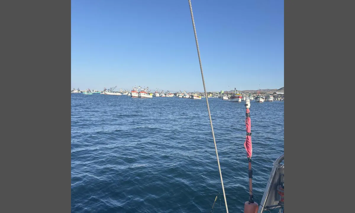 {"base": "no", "no": "Og deler av havnen", "se": "Och delar av hamnen", "en": "And parts of the harbor", "da": "Og dele af havnen", "fr": "Et des parties du port", "de": "Und Teile des Hafens", "es": "Y partes del puerto", "it": "E parti del porto", "pt": "E partes do porto", "nl": "En delen van de haven", "pl": "I cz\u0119\u015bci portu", "uk": "\u0406 \u0447\u0430\u0441\u0442\u0438\u043d\u0438 \u0433\u0430\u0432\u0430\u043d\u0456", "ro": "\u0218i p\u0103r\u021bi ale portului", "tr": "Ve liman\u0131n b\u00f6l\u00fcmleri", "el": "\u039a\u03b1\u03b9 \u03bc\u03ad\u03c1\u03b7 \u03c4\u03bf\u03c5 \u03bb\u03b9\u03bc\u03b1\u03bd\u03b9\u03bf\u03cd", "cs": "A \u010d\u00e1sti p\u0159\u00edstavu", "hu": "\u00c9s a kik\u00f6t\u0151 egyes r\u00e9szei", "fi": "Ja sataman osat", "bg": "\u0418 \u0447\u0430\u0441\u0442\u0438 \u043e\u0442 \u043f\u0440\u0438\u0441\u0442\u0430\u043d\u0438\u0449\u0435\u0442\u043e", "sr": "\u0418 \u0434\u0435\u043b\u043e\u0432\u0438 \u043b\u0443\u043a\u0435", "et": "Ja osa sadamast", "lv": "Un da\u013cas no ostas", "lt": "Ir dalys uosto"}