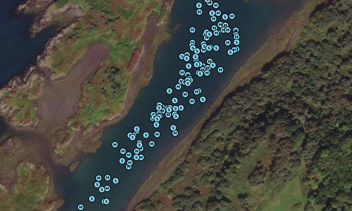 Satelite image of Puilladobhrain (Pool of the Otter)