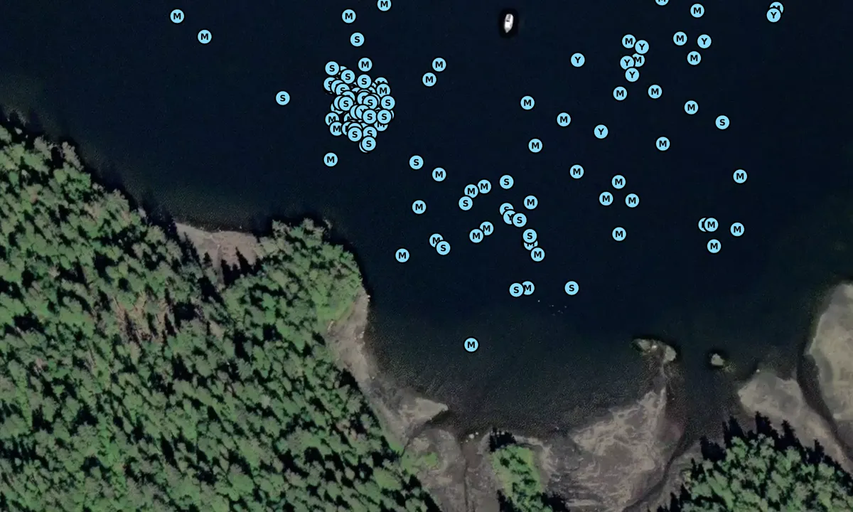 Satelite image of Punchbowl Cove