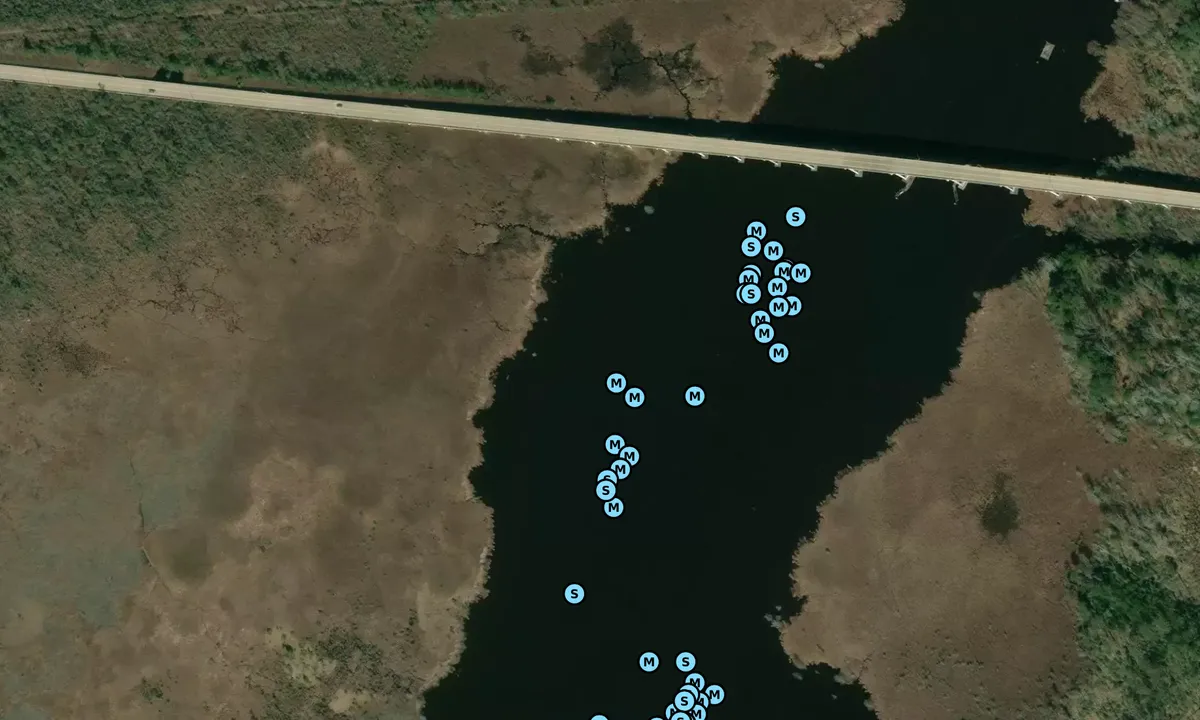 Satelite image of Pungo Ferry