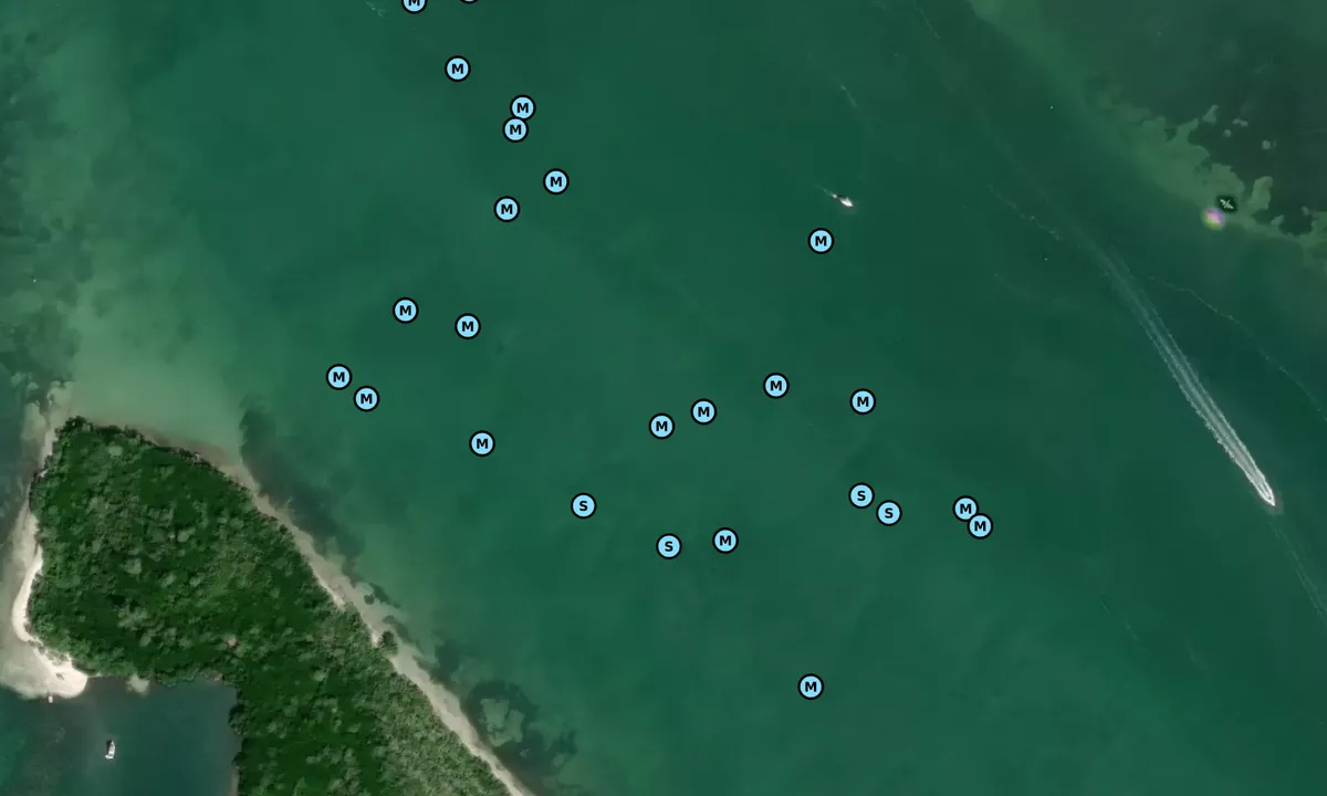 Satelite image of Punta Blanca G71