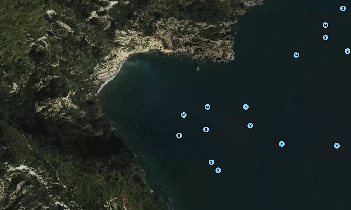 Satelite image of Punta Cannuccia