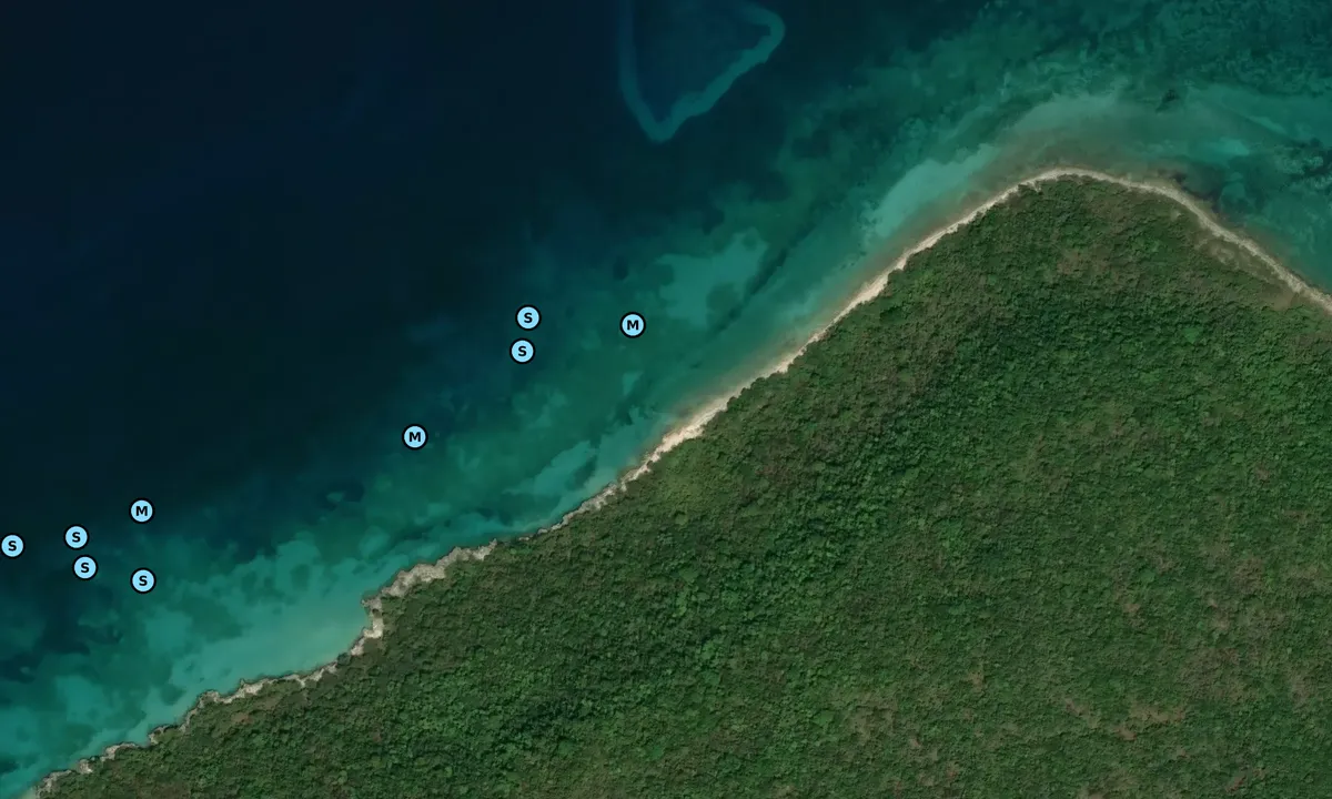 Satelite image of Punta Carrucho
