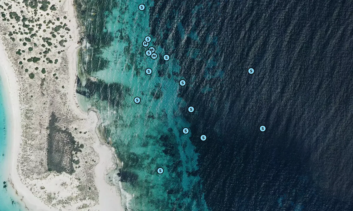 Satelite image of Punta de Carritx