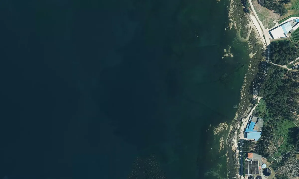 Flyfoto av Punta de Tragove