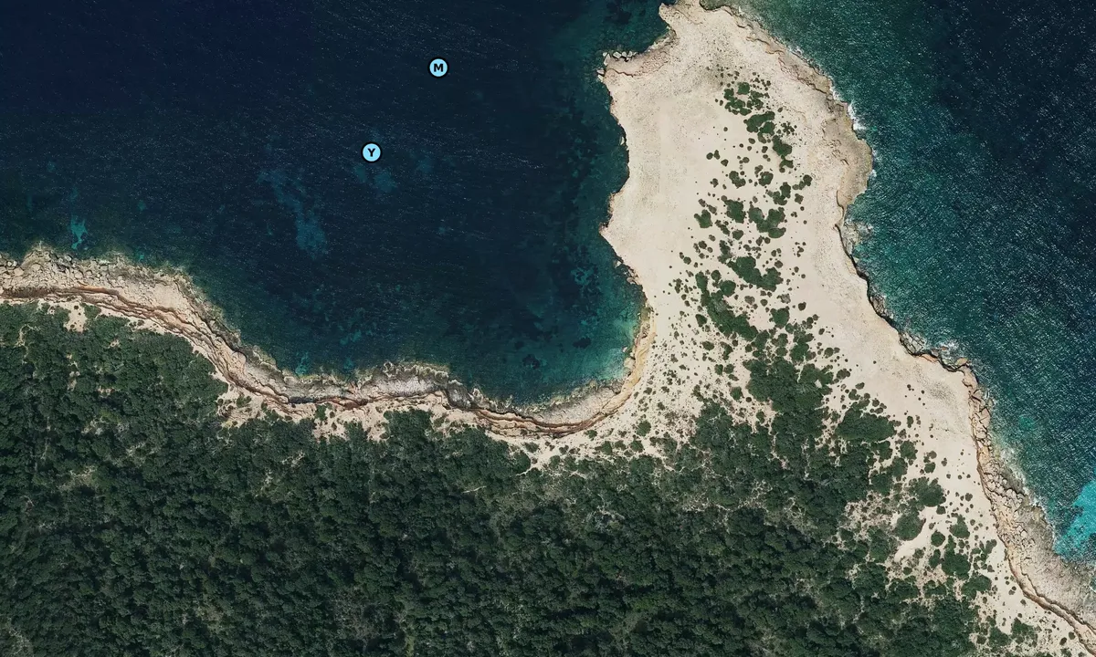 Satelite image of Punta del Escullet
