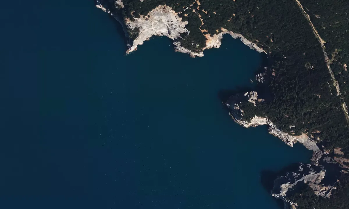 Satelite image of Punta del Pittone