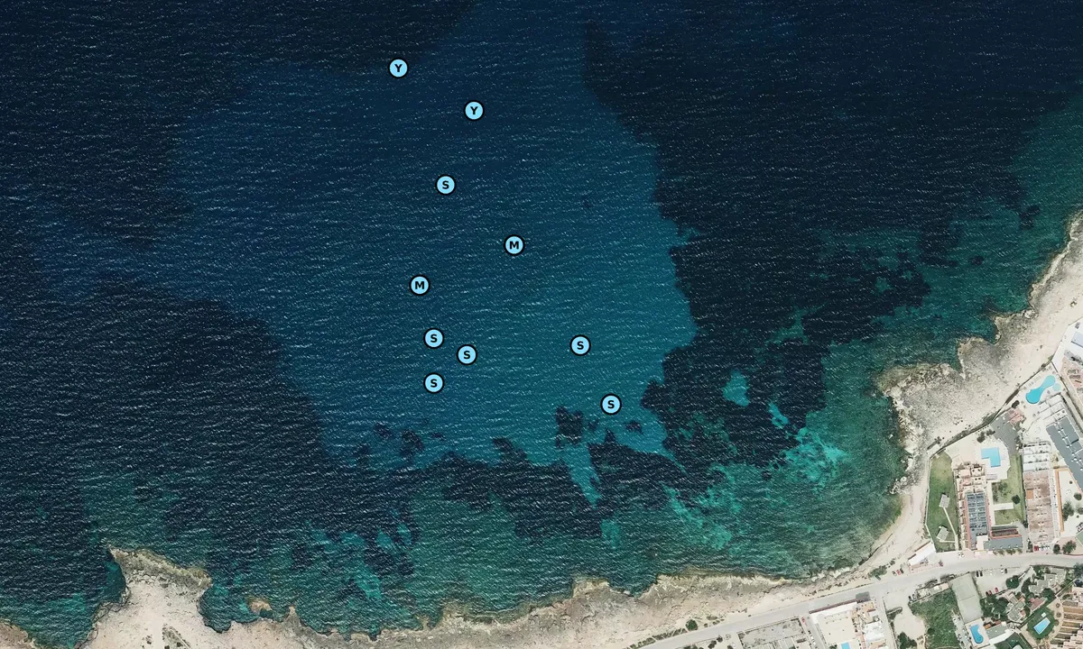 Satelite image of Punta den Ribes