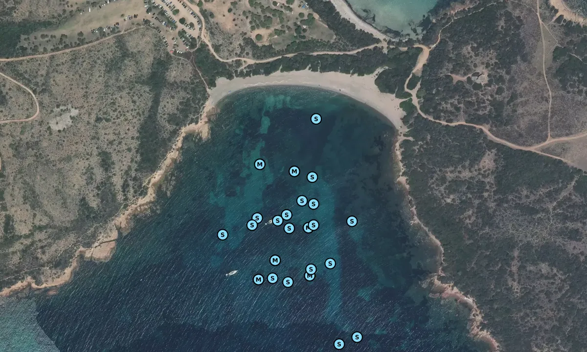 Satelite image of Punta di Rondinara