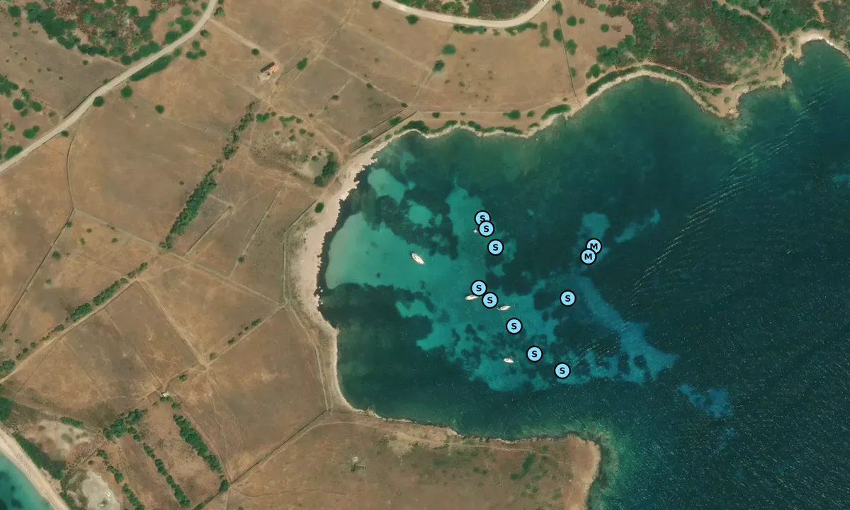 Satelite image of Punta Trabuccato