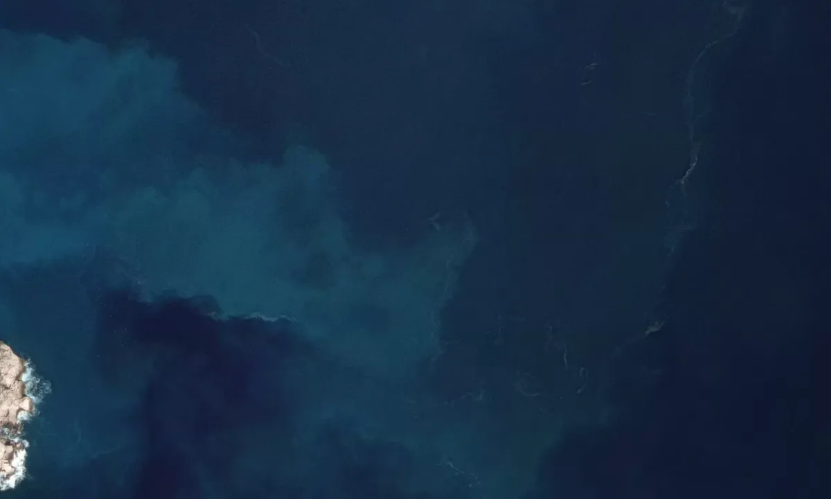 Flyfoto av punto osservazione delfini
