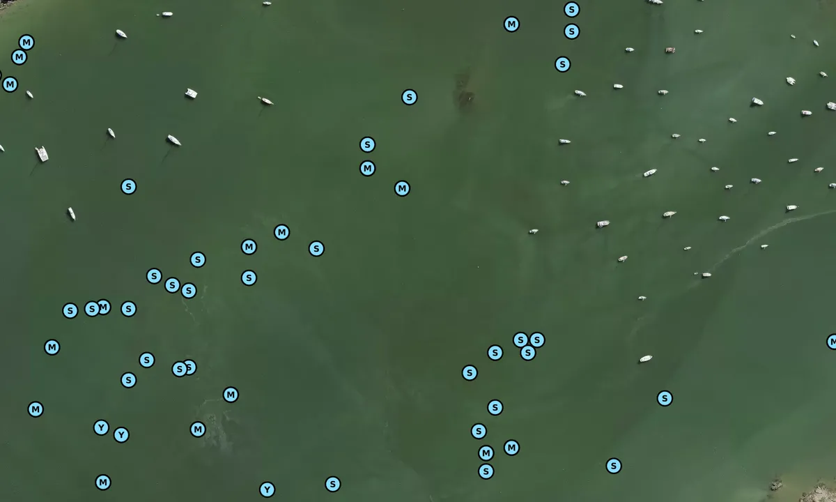 Satelite image of Putiki Bay