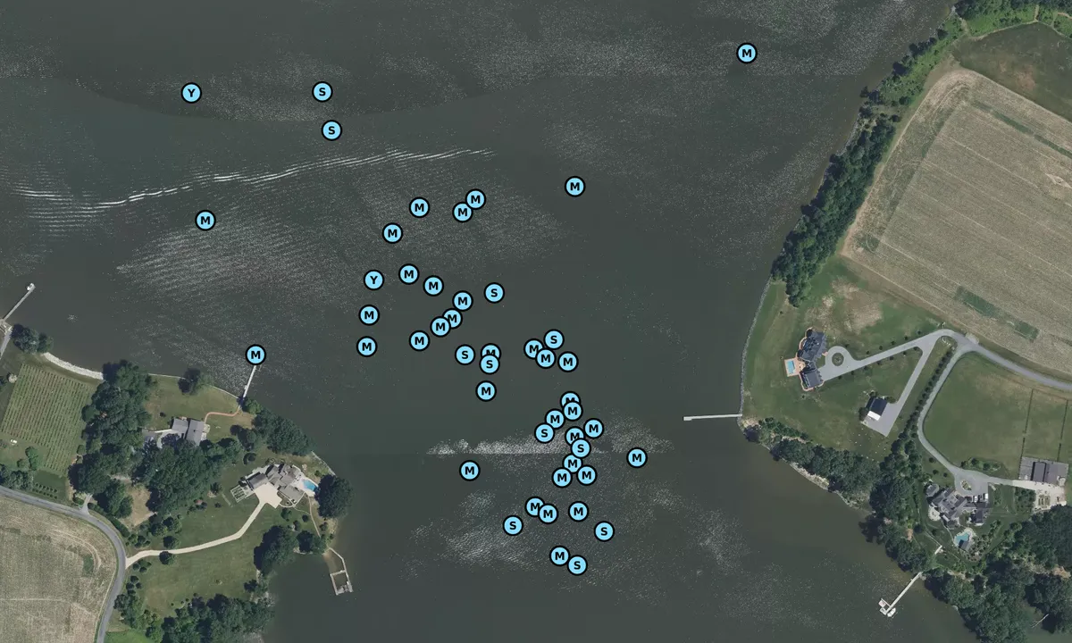 Satelite image of Quarter Cove