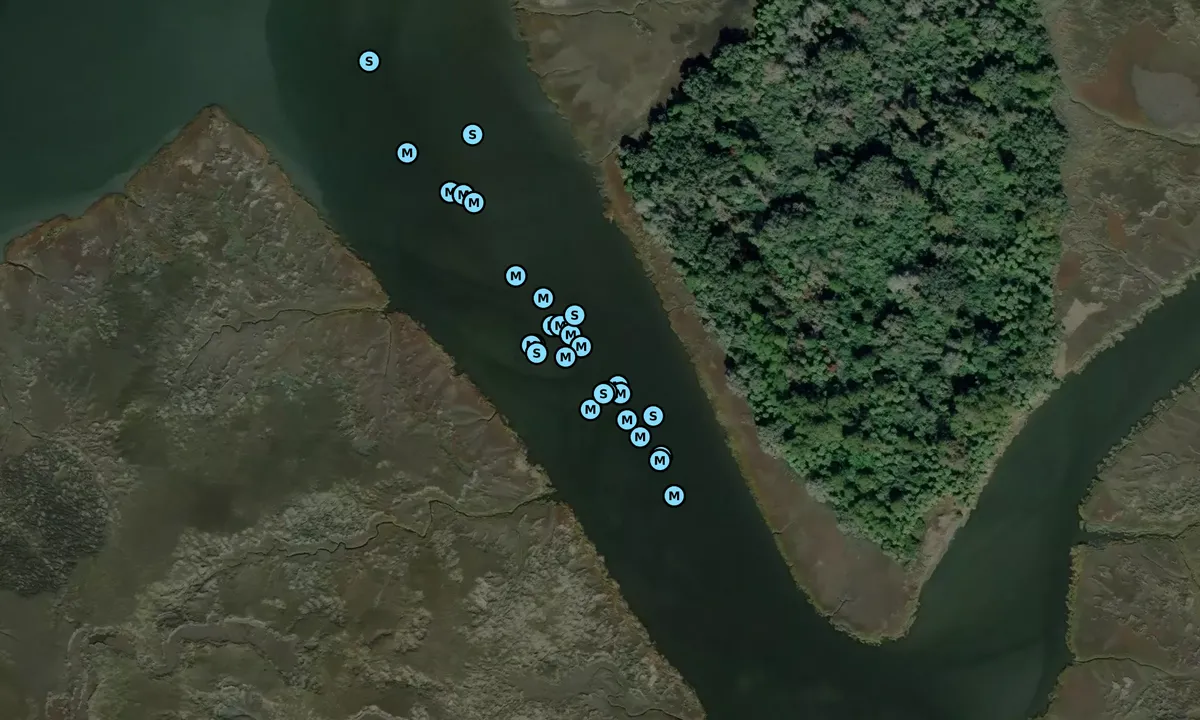 Satelite image of Queen Bess Creek