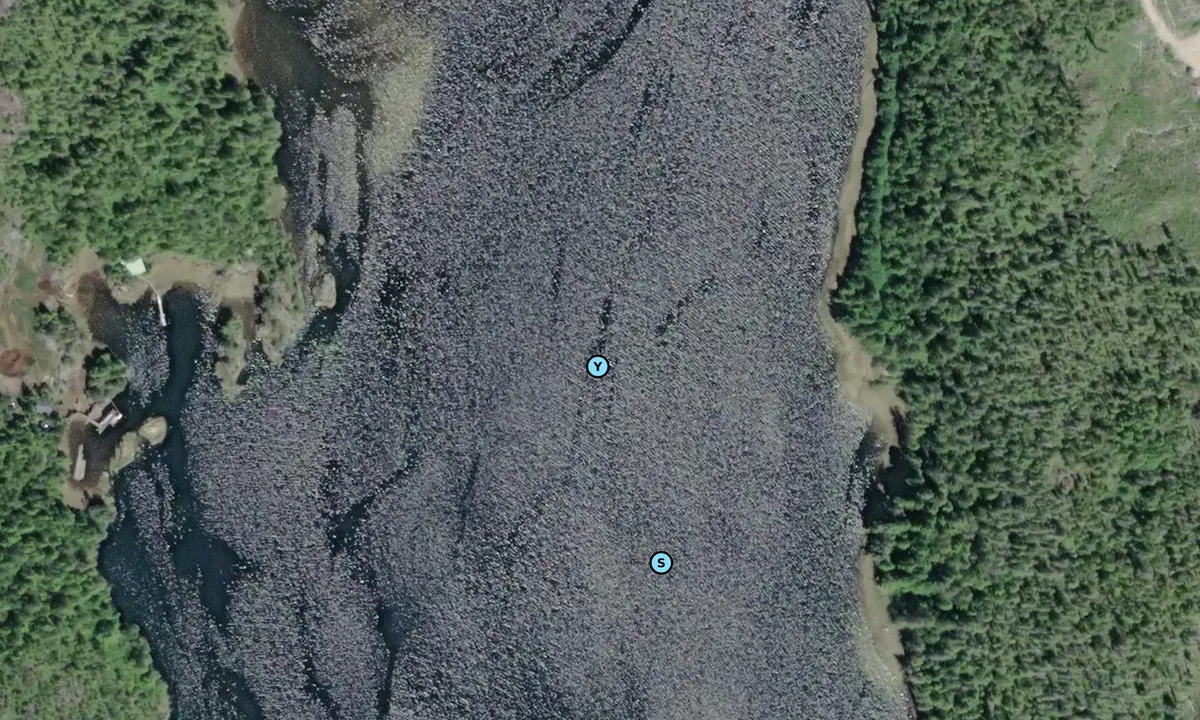 Satelite image of Queen Cove