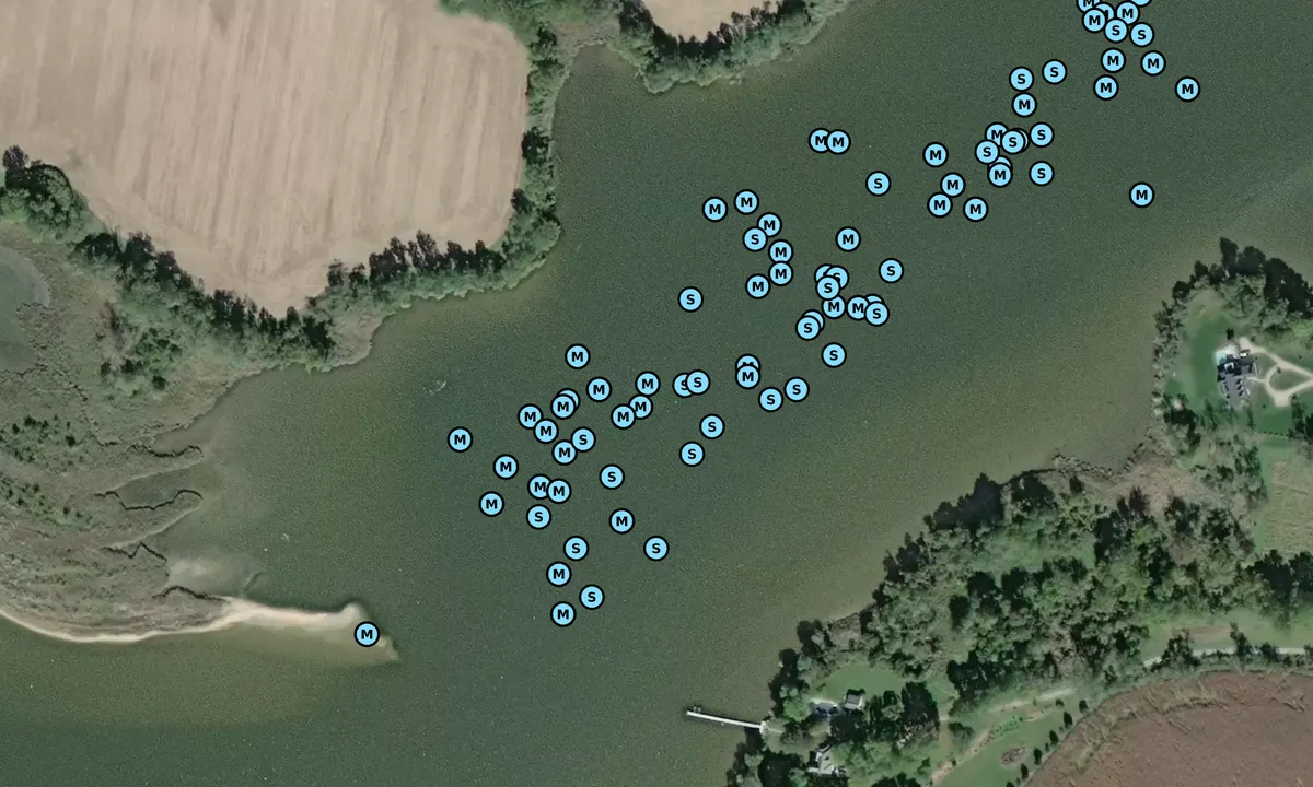 Satelite image of Queenstown Creek