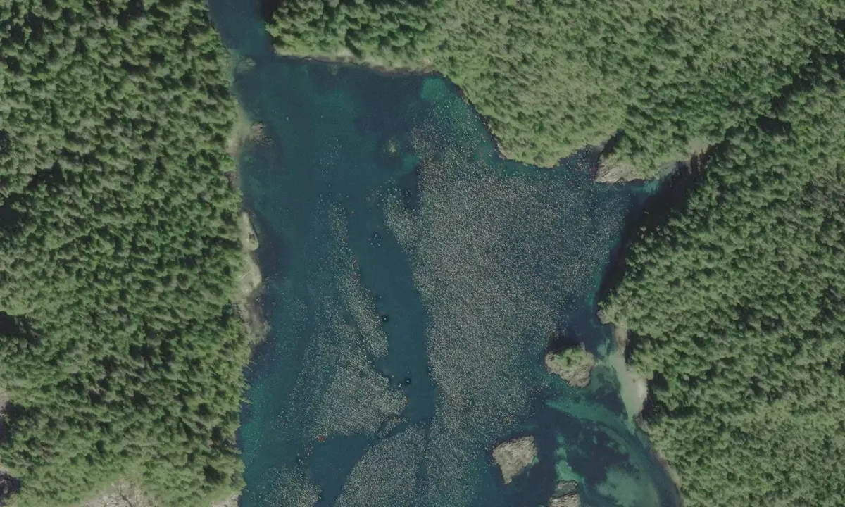 Flyfoto av Quiet Cove 2
