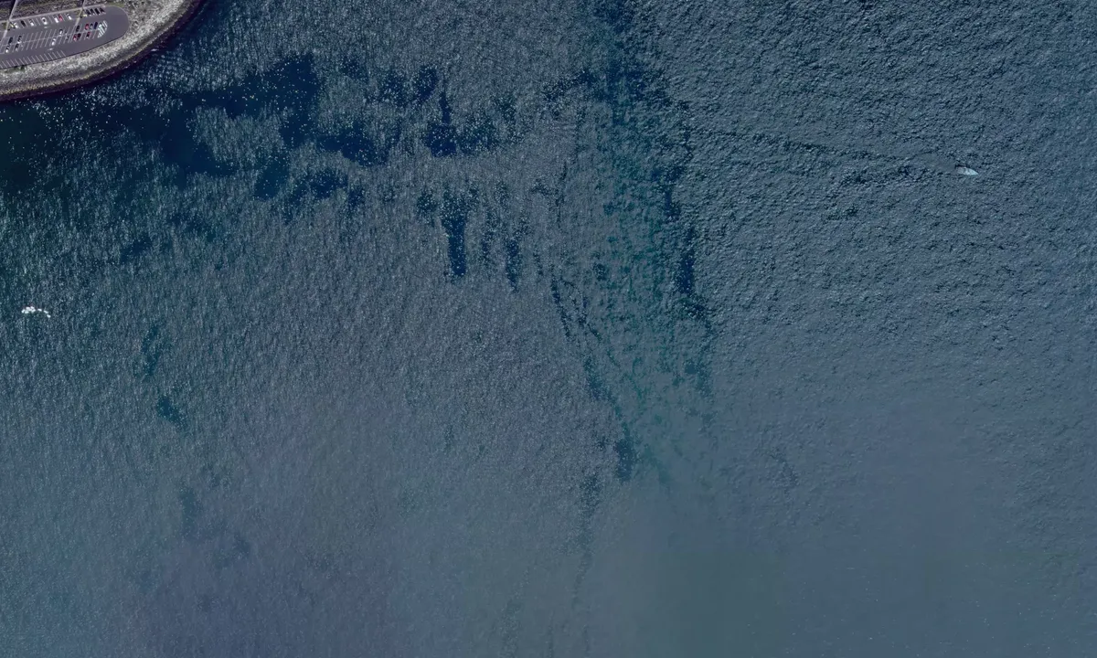 Satelite image of Rade de Portrieux