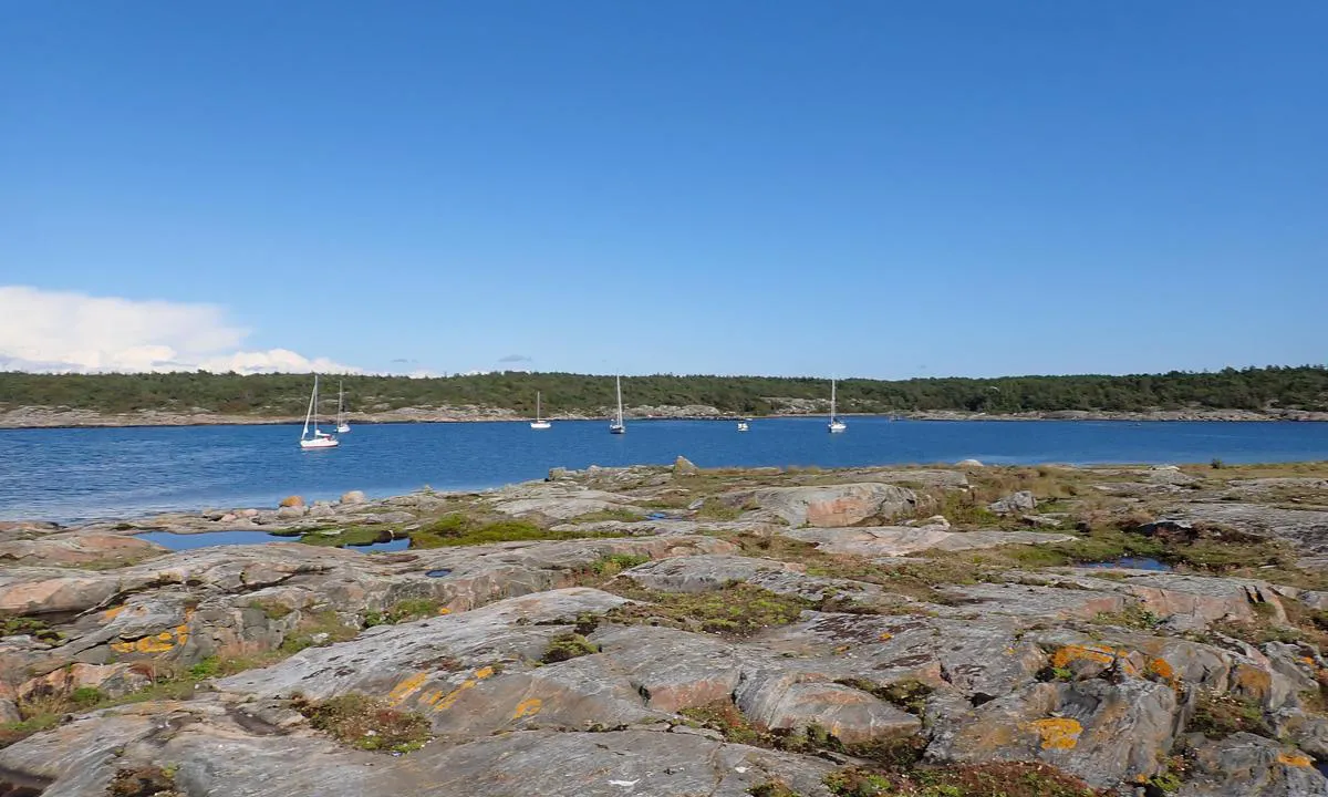 Råh:r - SXK Västkust bouy: {"base": "no", "no": "Fin bukt for svai eller b\u00f8ye rett ved leden.", "se": "Fin bukt f\u00f6r svaj eller boj direkt vid leden.", "en": "Nice bay for anchoring or mooring right along the channel.", "da": "Fin bugt til svajning eller b\u00f8je lige ved sejlrenden."}
