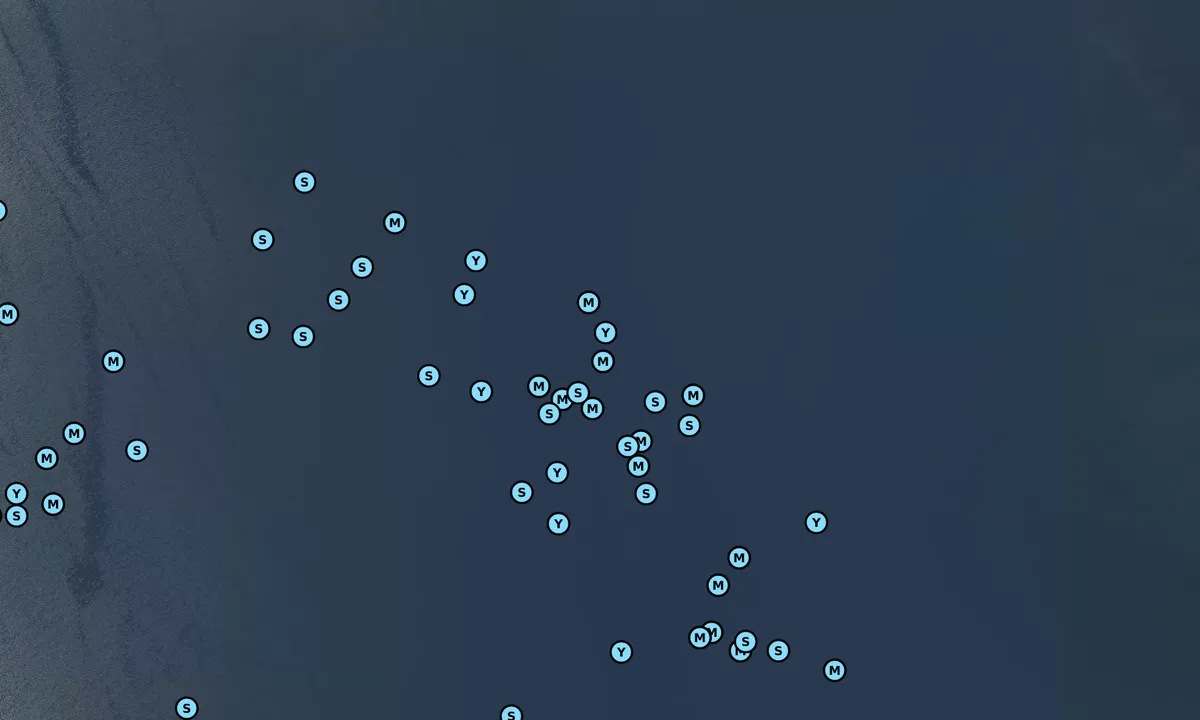 Satelite image of Ram Island 1
